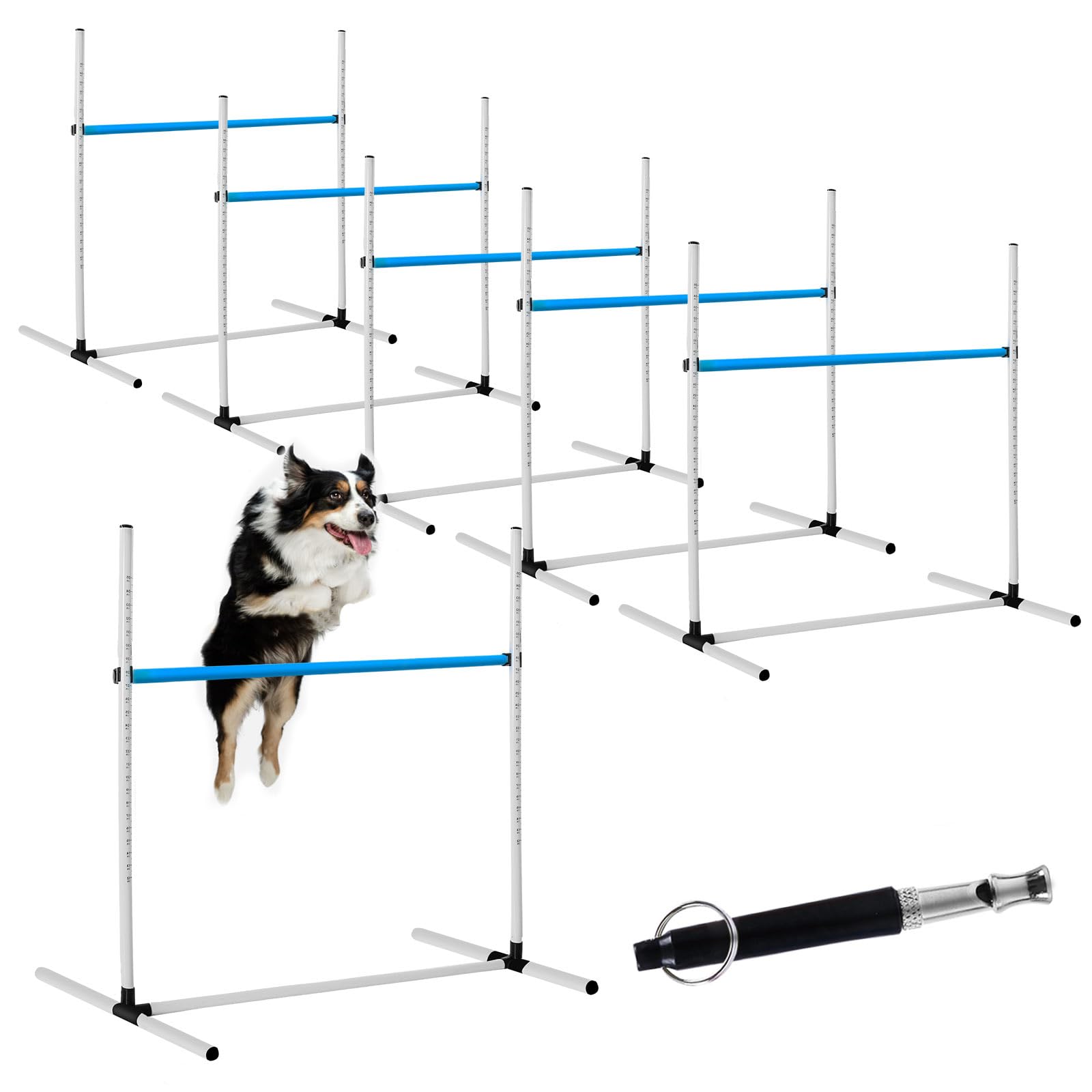 Amazon.com : Halloscume 6 Pcs Dog Agility Training Equipments Dog